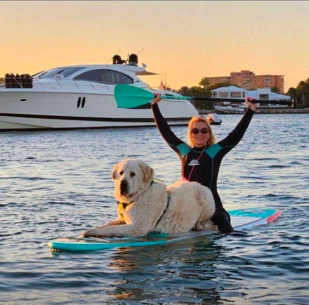 Alabai Six dog paddleboarding with owner, low-impact exercise