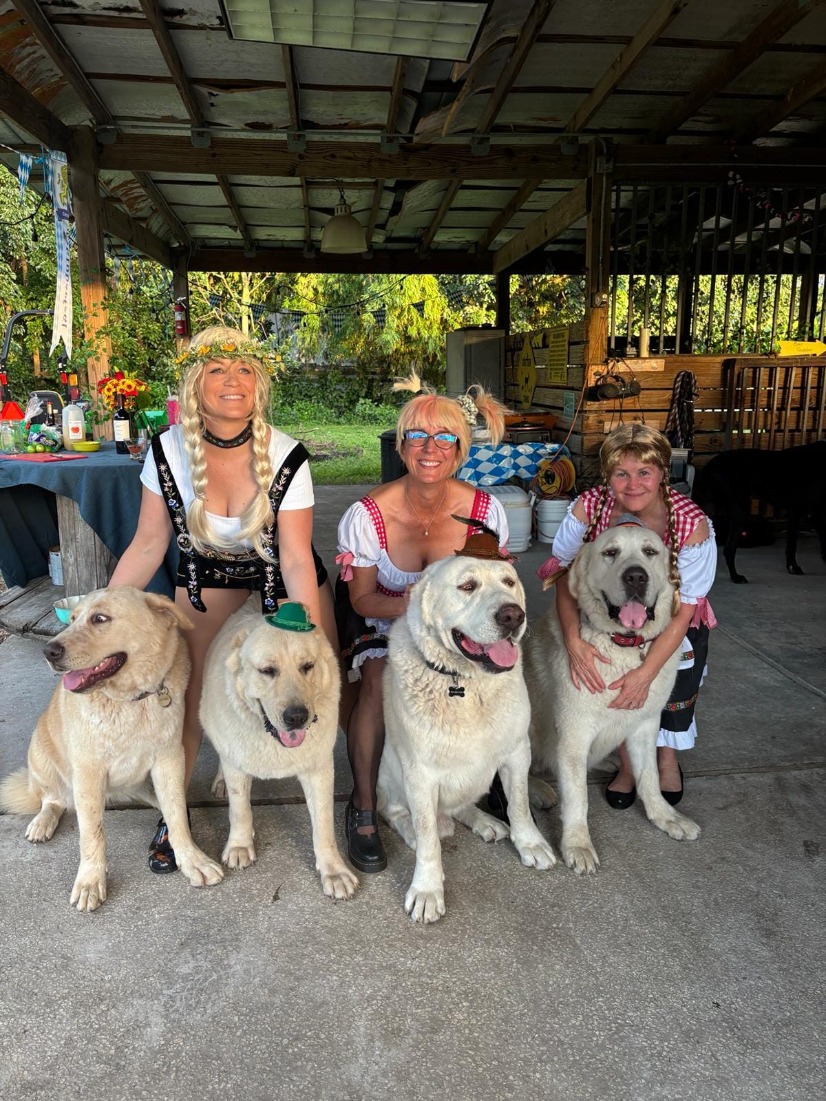 Family Oktoberfest gathering with Alabai pack
